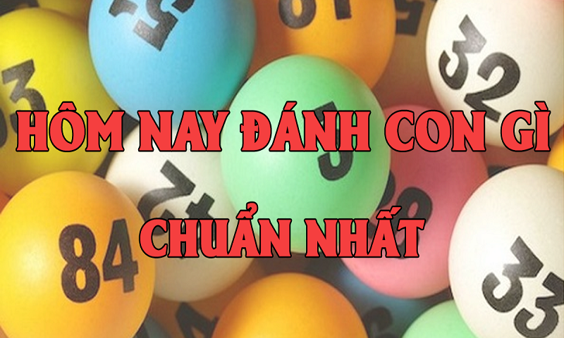 Lô đề hôm nay đánh con gì?